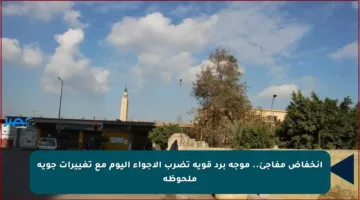 انخفاض مفاجئ.. موجة برد قوية تضرب الأجواء اليوم مع تغييرات جوية ملحوظة